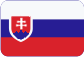 Regionální rozvojová agentura Východní Moravy Slovensky